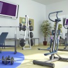 Large home gym