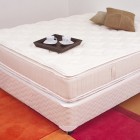 Mattress and Box Spring 