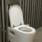 Toilet in Front of Stripped Wall