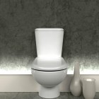 Toilet with Backlit Floorboard