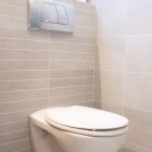 Backless Toilet
